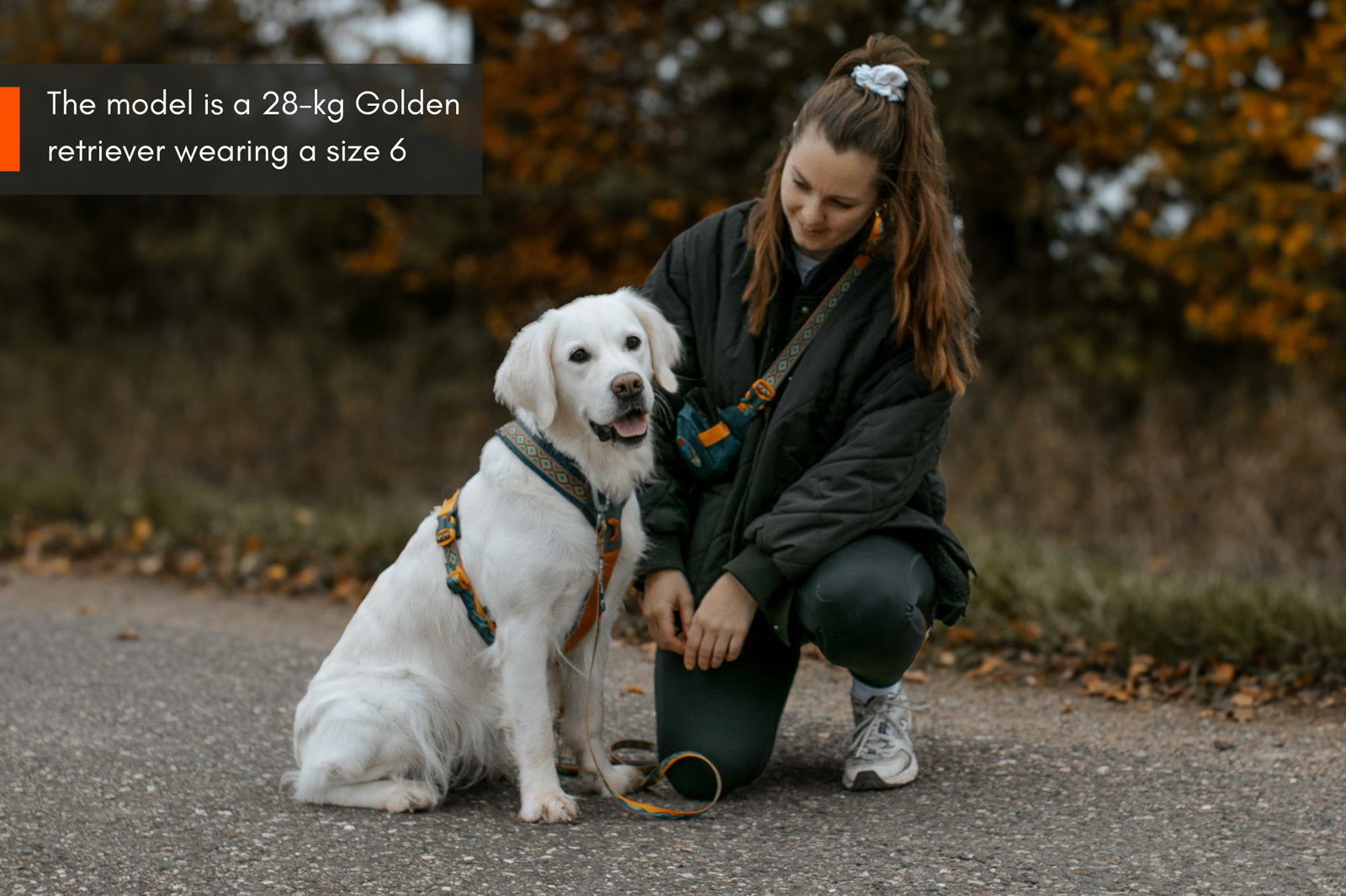 non-stop-dogwear-line-harness-5-0-rachel-pohl-edition-hundegeschirr image 6