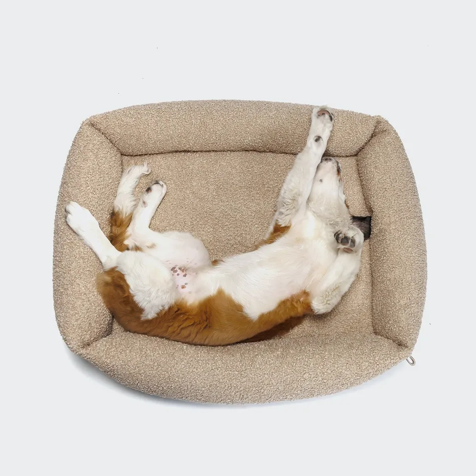 cloud7-sleepy-deluxe-curl-hundebett-cream image 1