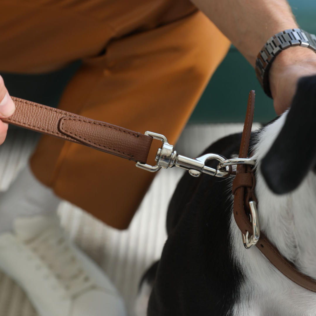 molly-and-stitch-tuscan-hundehalsband-leder-chestnut image 5