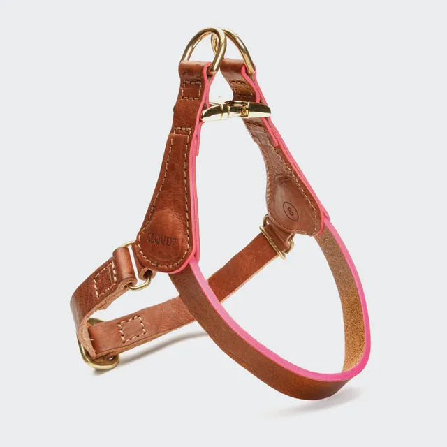 cloud7-prince-park-norwegergeschirr-cognac-pink-f-r-kleine-hunde image 1