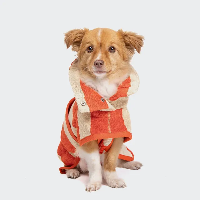 cloud7-hundebademantel-wannsee-stripes-beige-orange-2 image 1