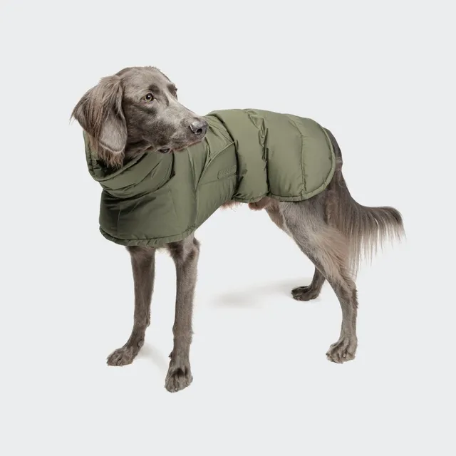 cloud7-everest-hundemantel-light-olive image 1