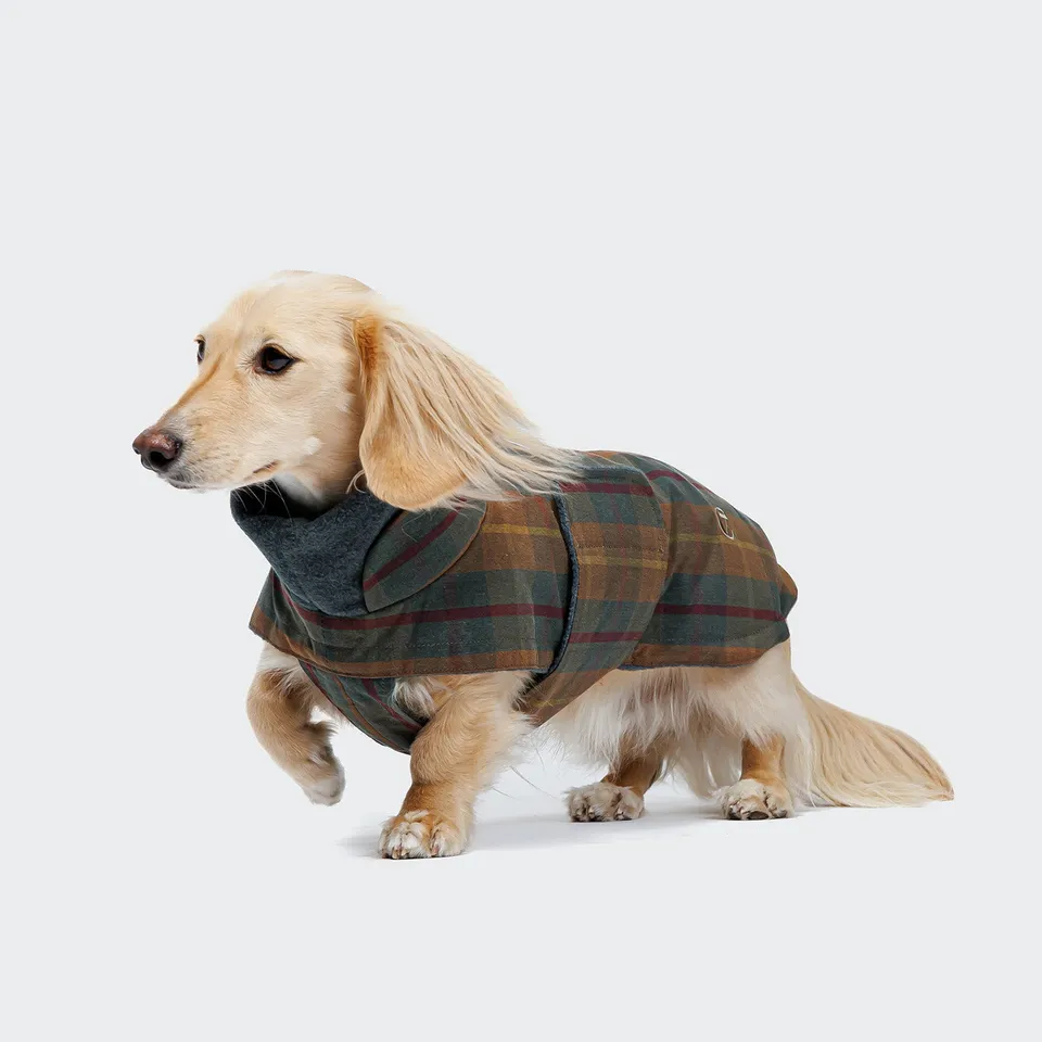 cloud7-hundemantel-dackel-brooklyn-waxed-tartan image 1