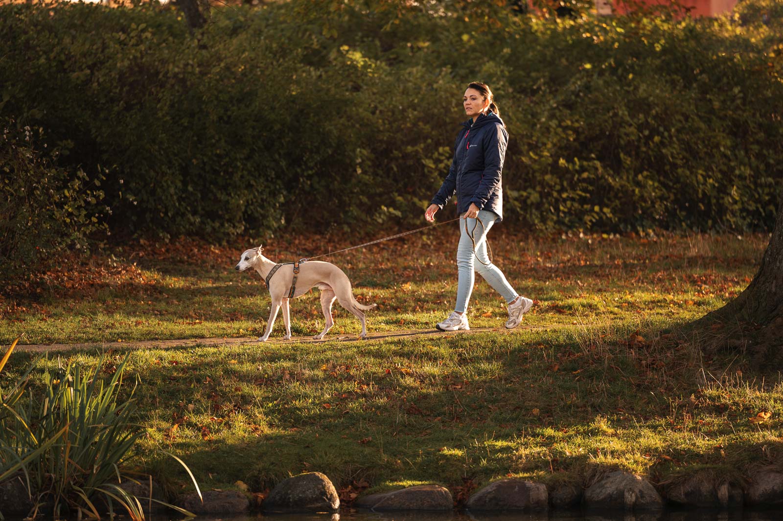 non-stop-dogwear-trail-quest-leash-rachel-pohl-edition-hundeleine image 3