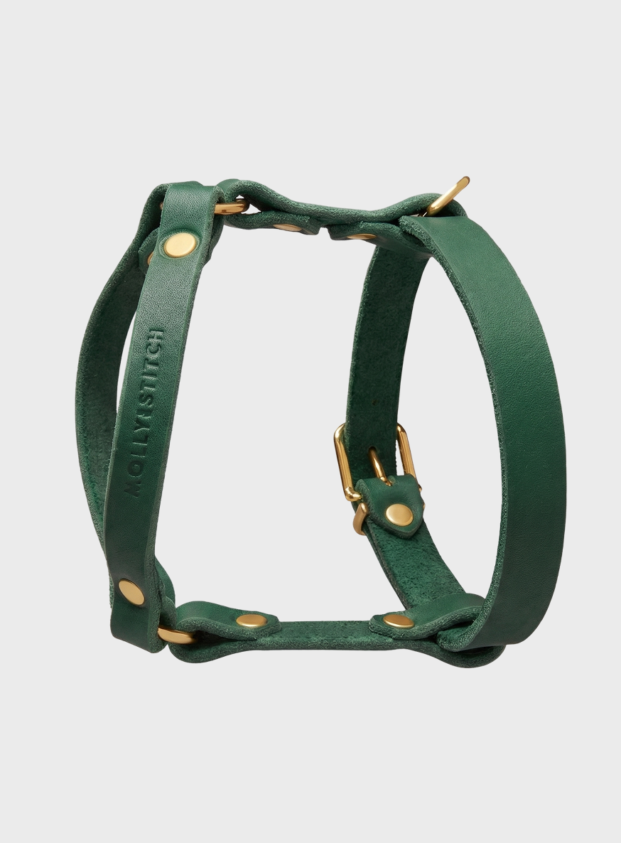molly-and-stitch-butter-leather-y-geschirr-forest-green image 2