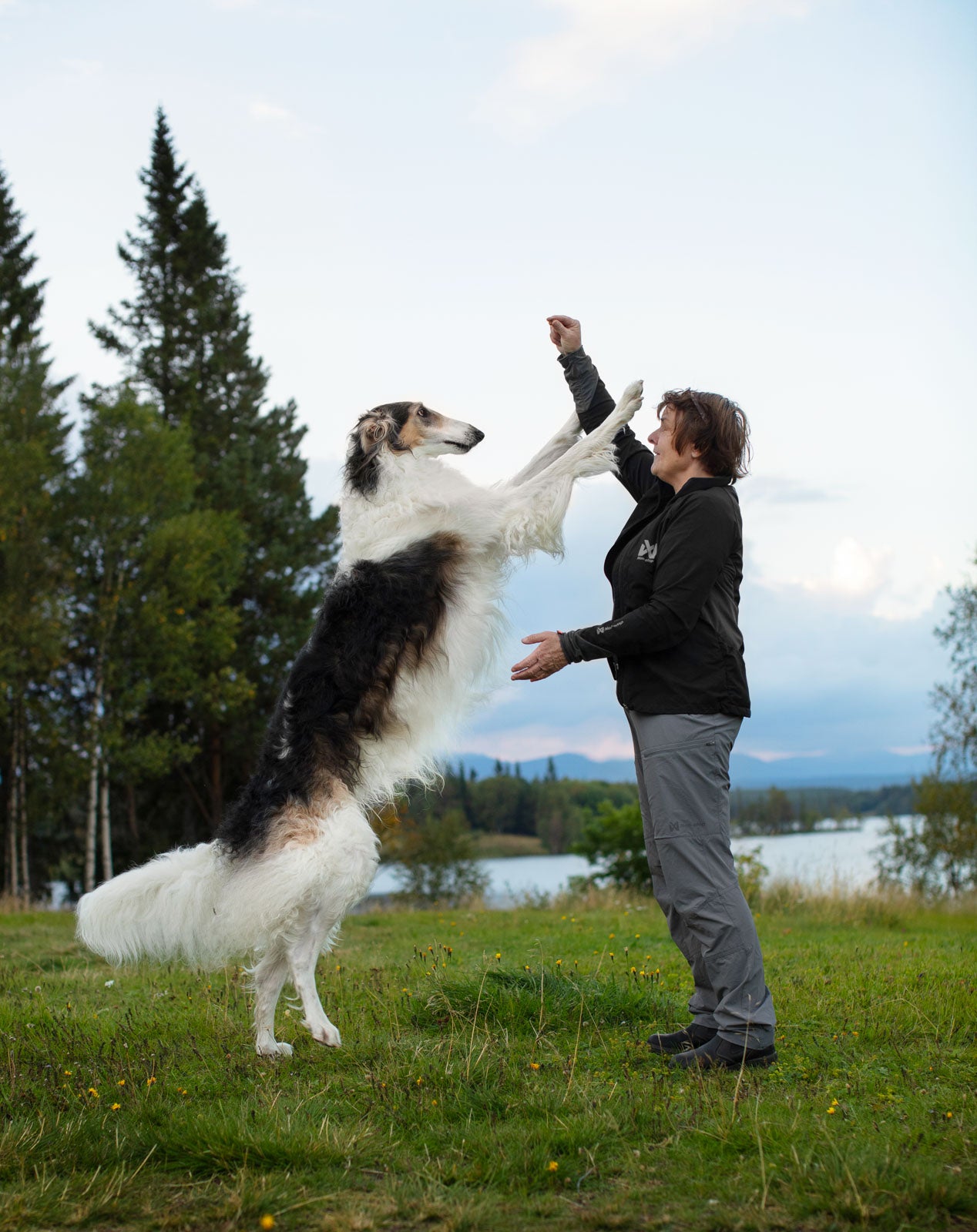 non-stop-dogwear-trail-quest-pants-w-softshell-damen-outdoorhose image 5