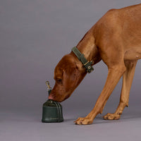 william-walker-wildleder-hundehalsband-forest-dunkelgr-n image 8