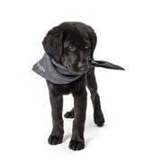 cloud7-personalized-dog-bandana-indigo-hundehalstuch image 4