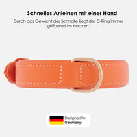 william-walker-leder-hundehalsband-amber-orange image 4