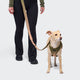 cloud7-aktiv-knit-l-3-hands-free-hundeleine-khaki-peach image 2