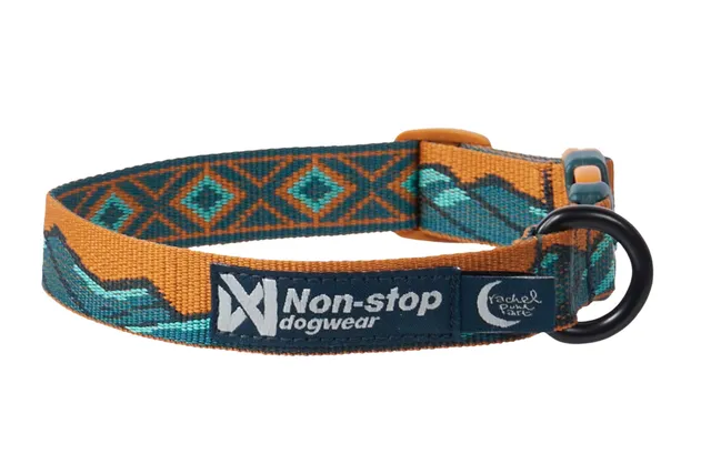 non-stop-dogwear-trail-quest-collar-rachel-pohl-edition-hundehalsband-teal image 1