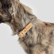 cloud7-tivoli-hundehalsband-greige-2 image 2