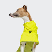 cloud7-aktiv-regenmantel-neon-green-light-olive-hunderegenmantel-10-000-mm image 4