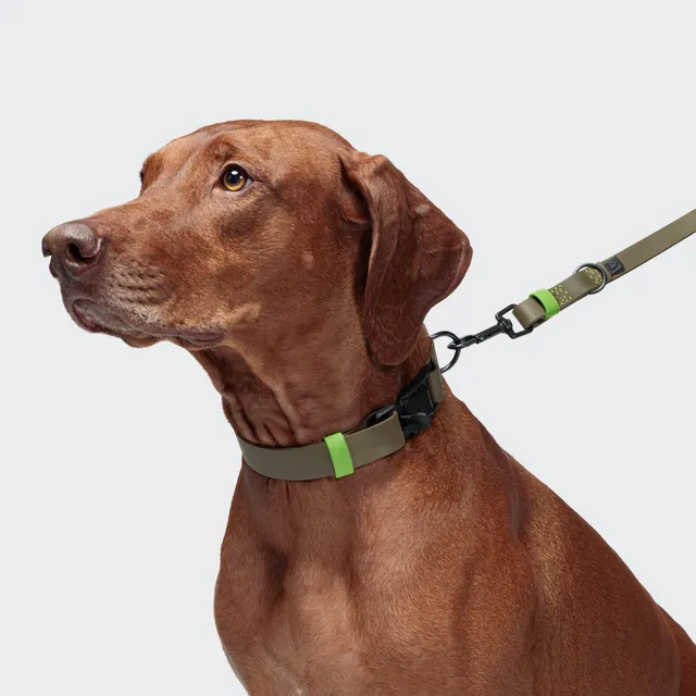cloud7-ipanema-biothane-hundehalsband-olive-neon-green image 1