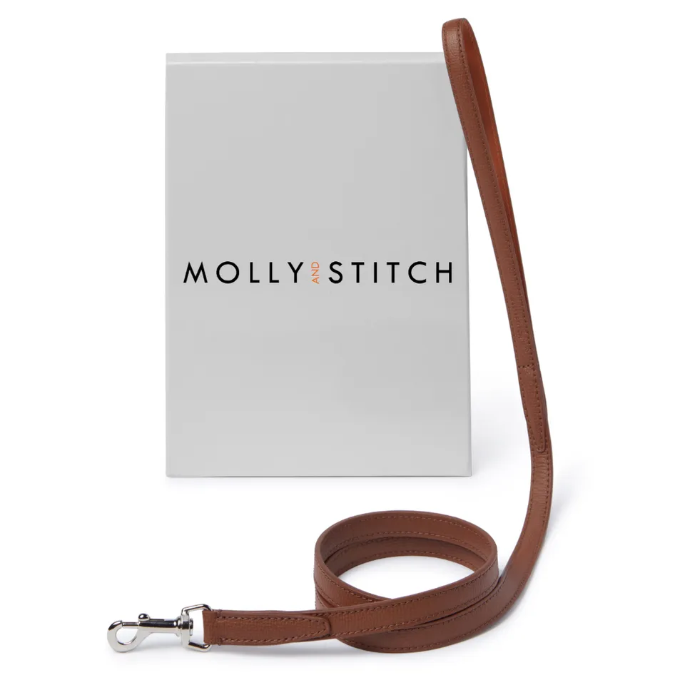 molly-and-stitch-tuscan-city-hundeleine-chestnut image 1