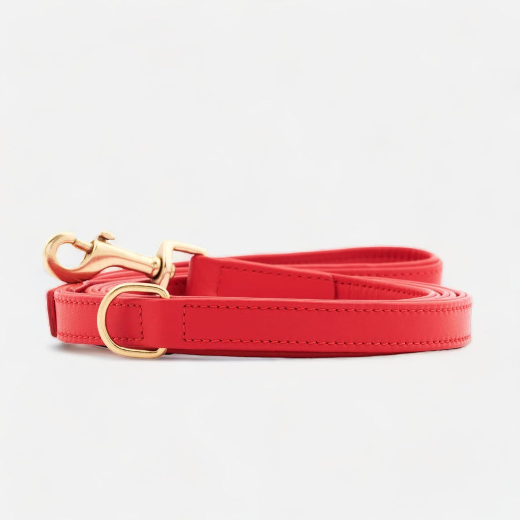 william-walker-leder-hundeleine-chili-rot image 1