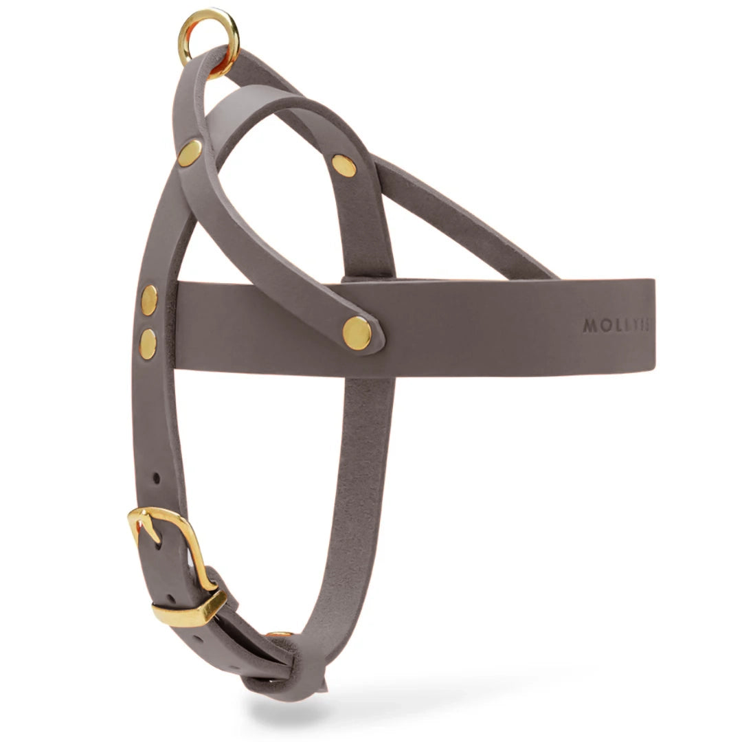 molly-and-stitch-butter-leather-hundegeschirr-taupe-mango-harness image 3