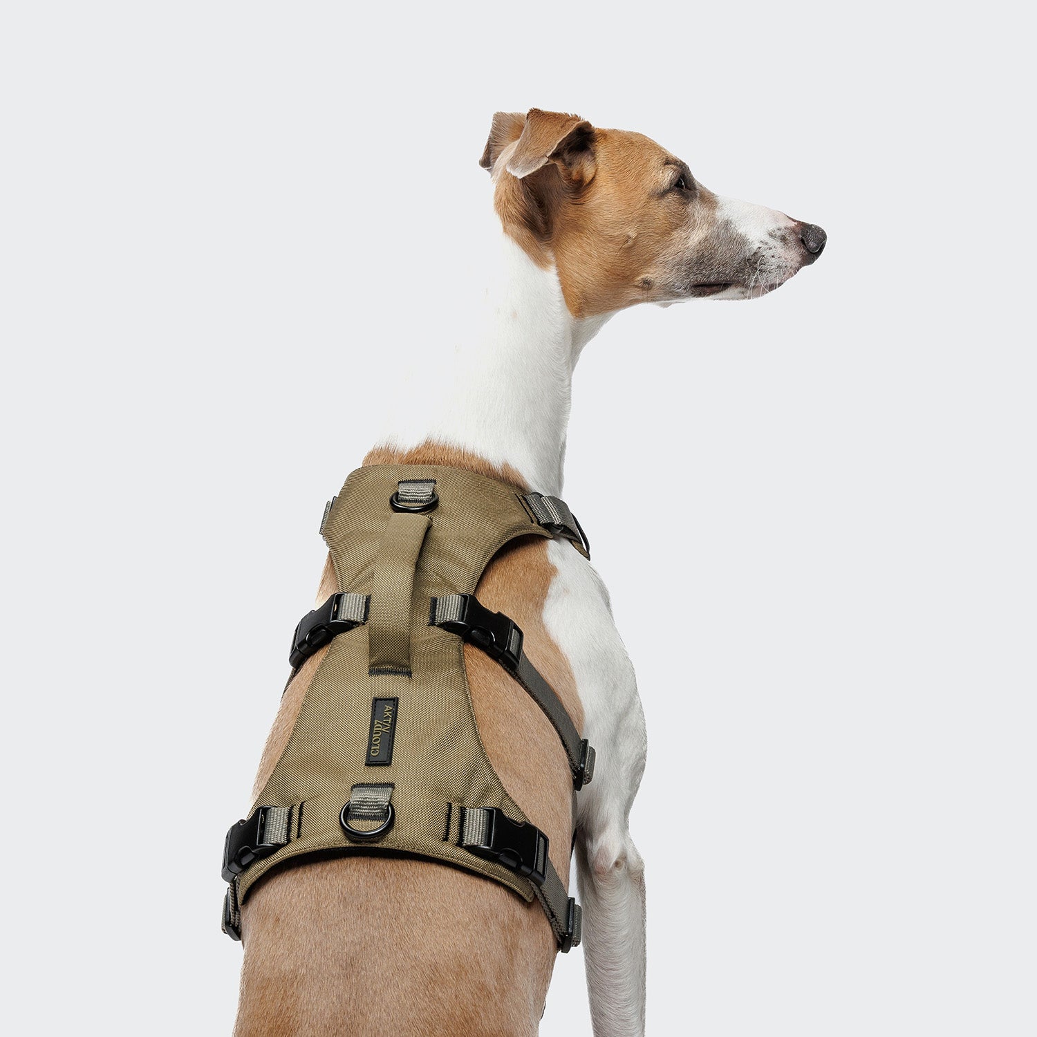 cloud7-y-safe-sicherheitsgeschirr-aktiv-khaki-grey-2 image 3