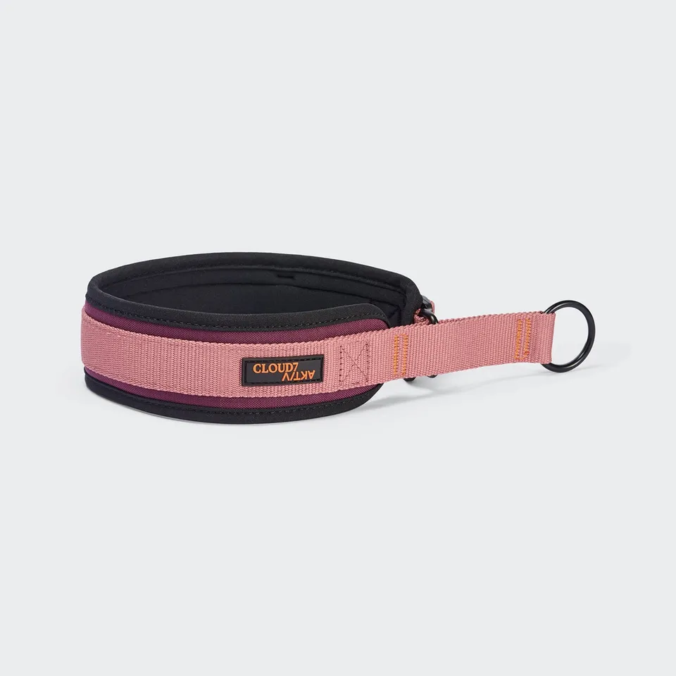 cloud7-c-1-zugstopp-halsband-aktiv-softshell-aubergine-soft-rose image 1