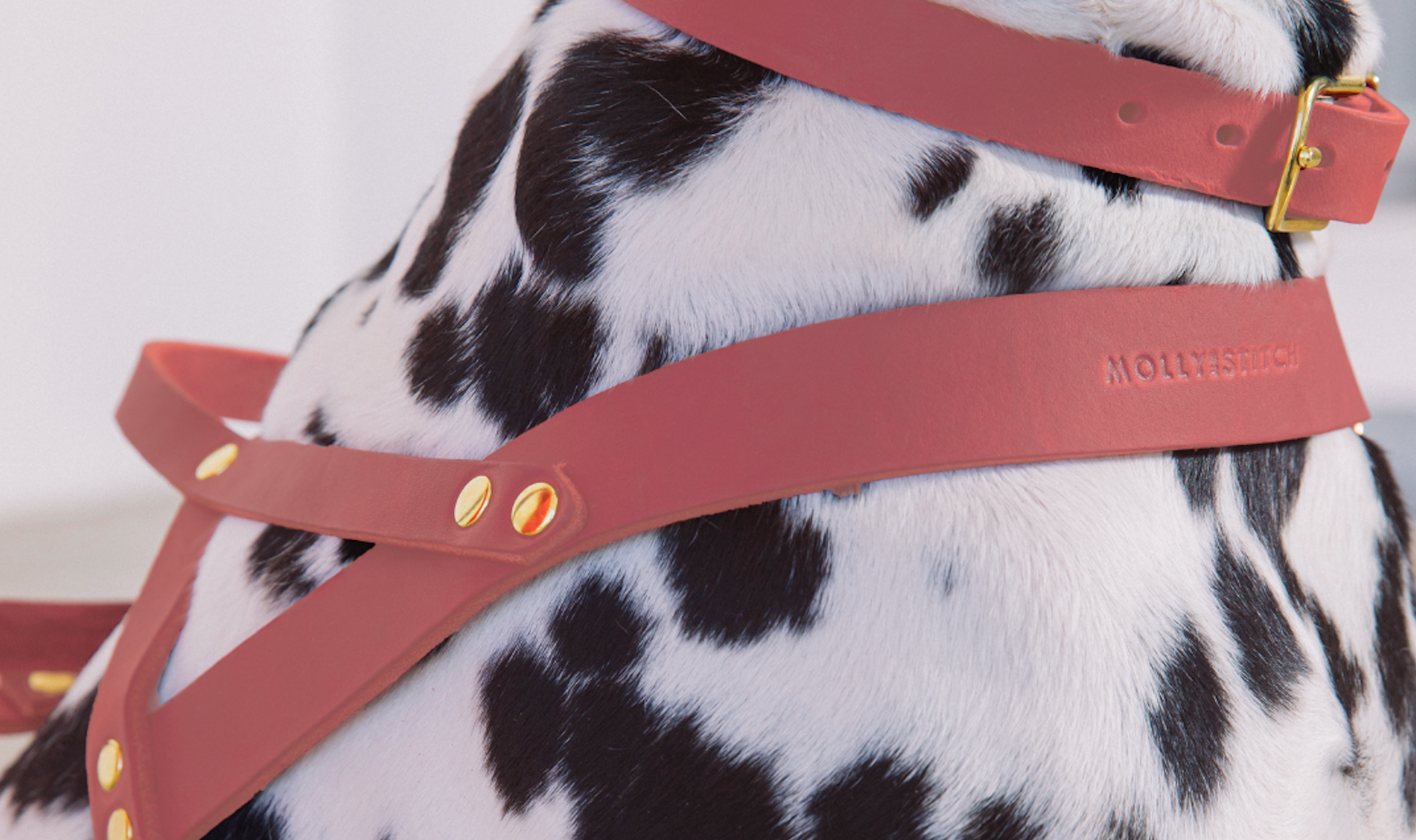 molly-and-stitch-butter-leather-hundegeschirr-coral-pink image 2