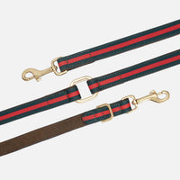 william-walker-florence-limited-leder-hundeleine-mit-messing image 2