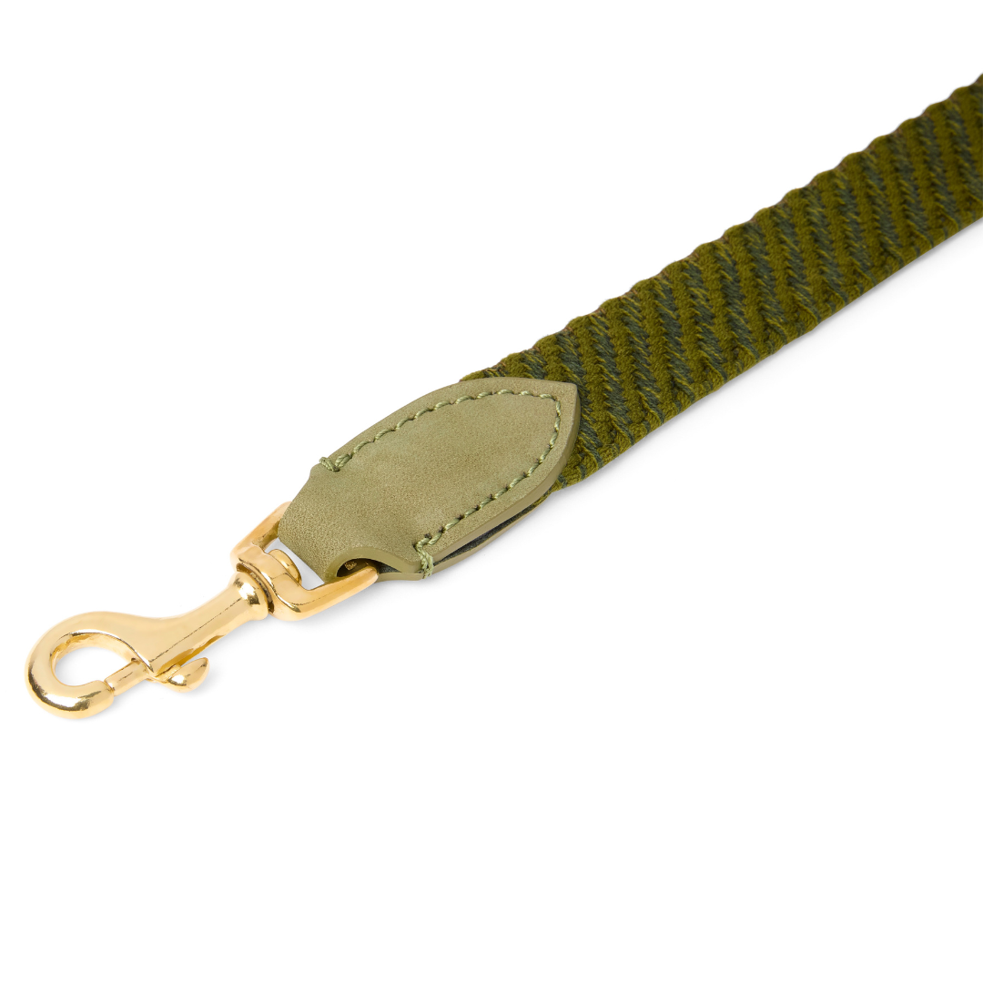 molly-and-stitch-serrana-city-hundeleine-140-cm-moss image 2