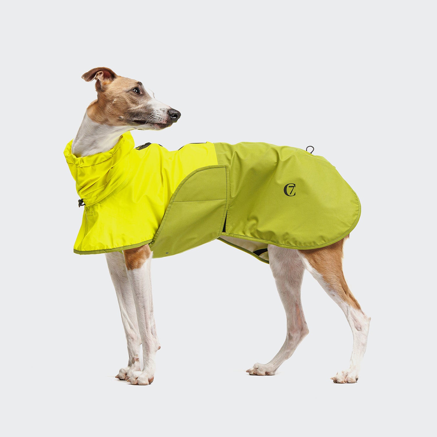 cloud7-aktiv-hunderegenmantel-neon-green-light-olive image 2