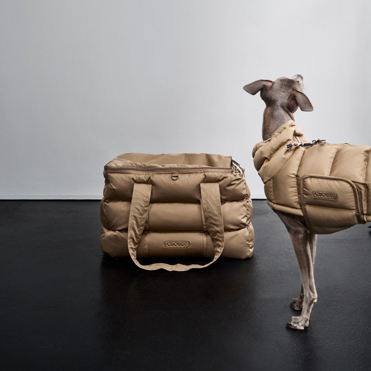 cloud7-montreal-hundetasche-sandy-brown-f-r-hunde-bis-10-kg image 7