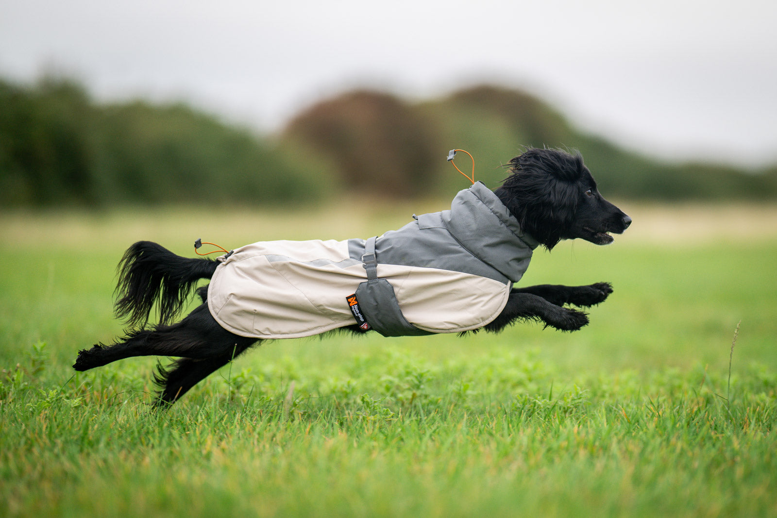 non-stop-dogwear-glacier-wool-jacket-3-0-isolierte-hundemantel-winterjacke image 3