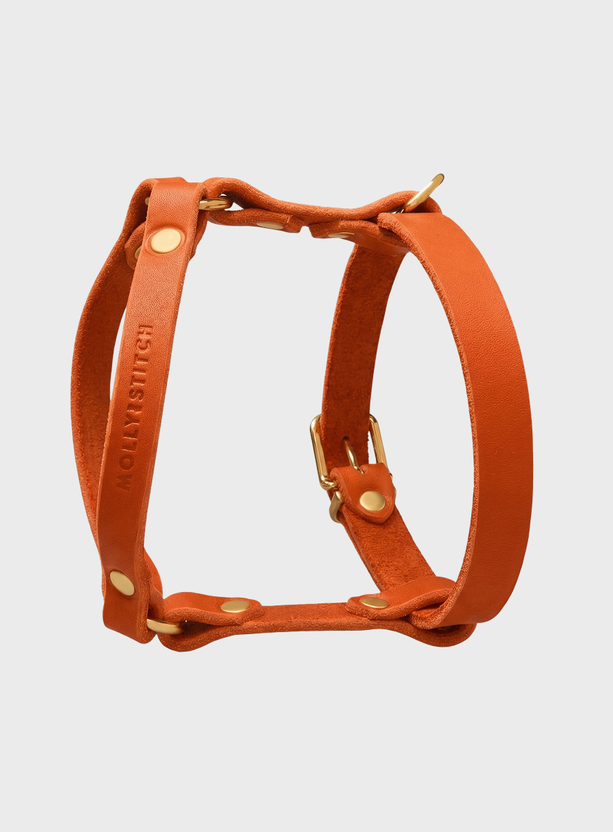 molly-and-stitch-butter-leather-y-geschirr-mango image 2