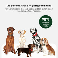 william-walker-leder-hundehalsband-dark-moss-dunkelgr-n image 5