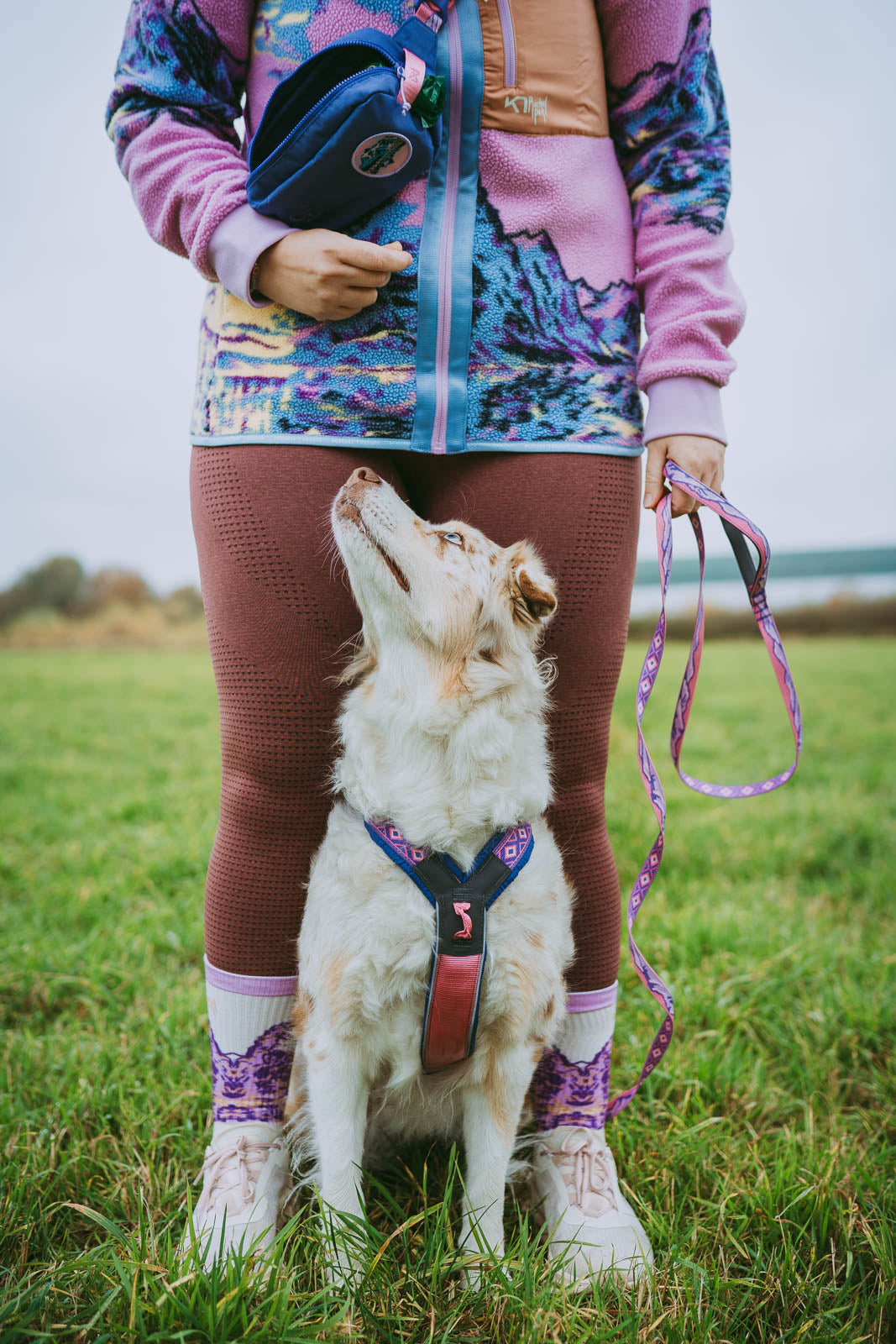 non-stop-dogwear-trail-quest-leash-rachel-pohl-edition-hundeleine image 5
