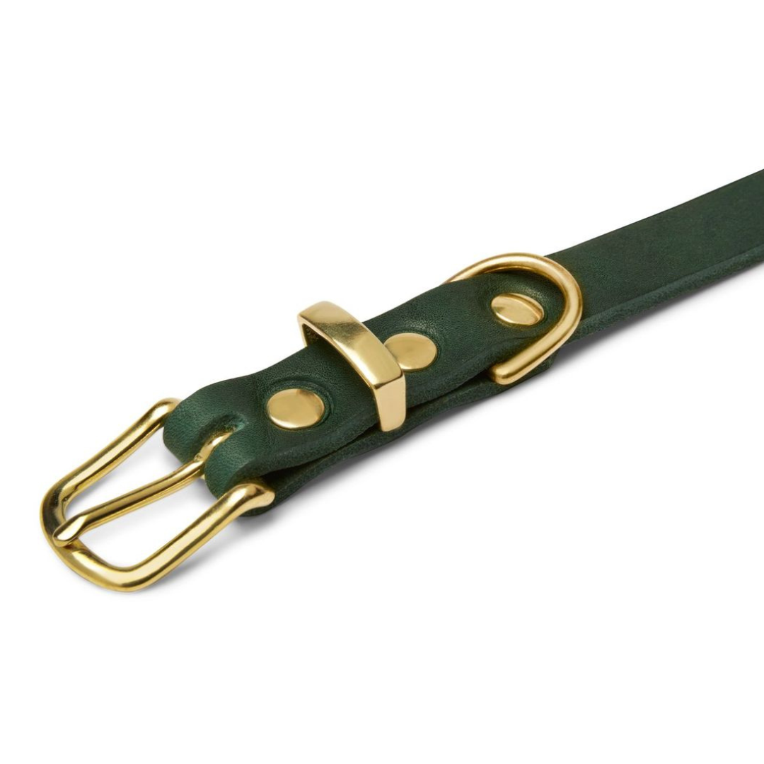 molly-and-stitch-butter-leather-hundehalsband-forest-green image 4