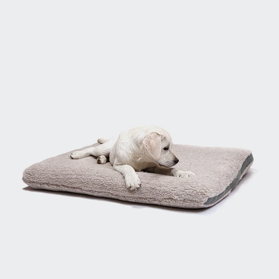 cloud7-siesta-teddy-dog-bed-luxus-hundekissen-aus-bio-baumwolle image 1