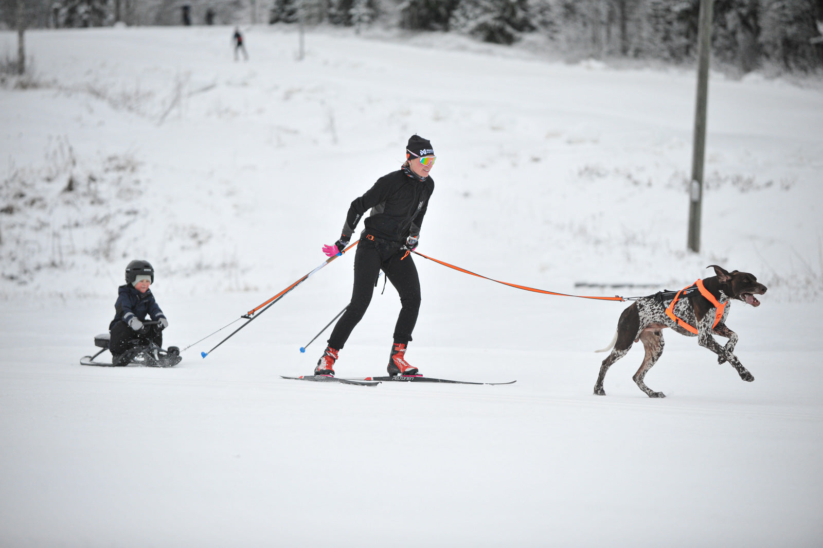 non-stop-dogwear-l-ype-belt-pro-leichtester-skij-ring-gurt-f-r-wettkampf-und-tra image 4