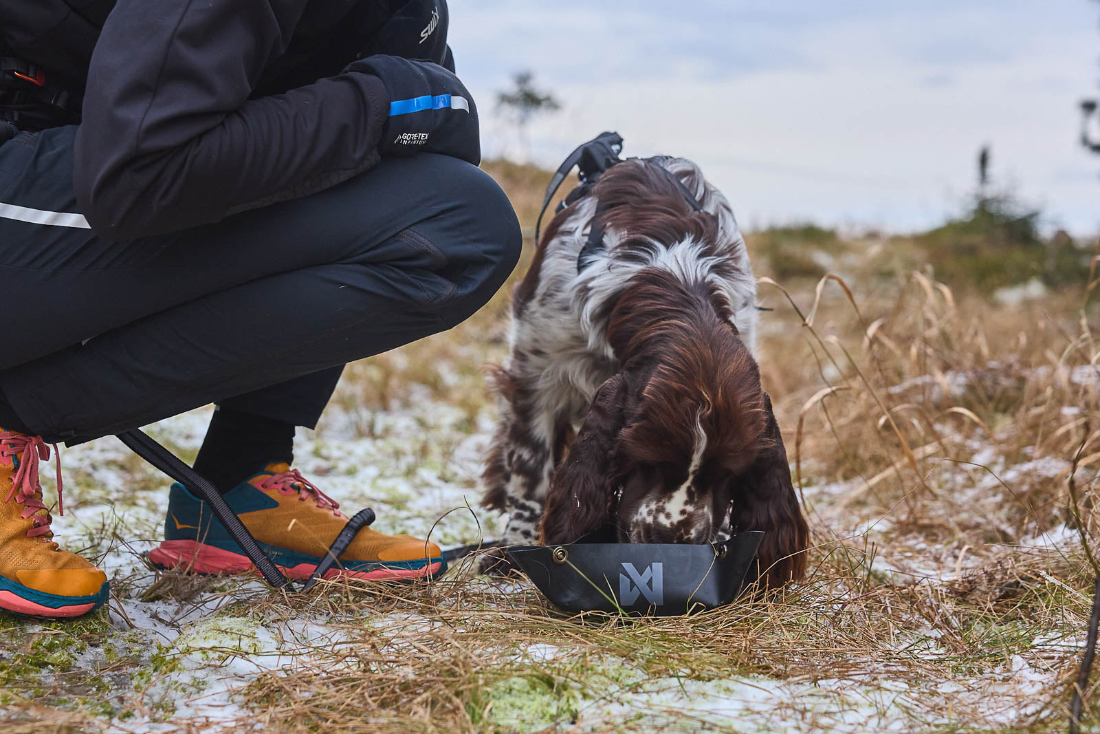 non-stop-dogwear-trekking-bowl-faltbarer-hundenapf image 5