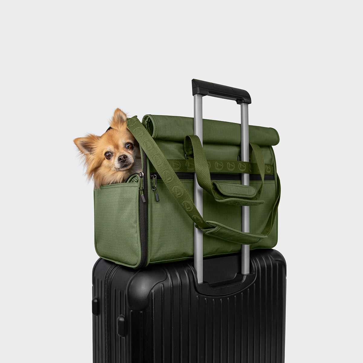 cloud7-hundeflugtasche-aktiv-olive-transporttasche-f-r-flug-bahn image 2
