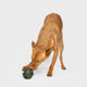 cloud7-zeno-activity-toy-snackspielzeug-dark-olive image 2