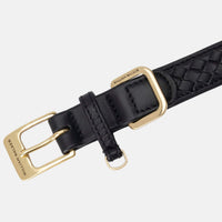 william-walker-leder-hundehalsband-prestige-nero-schwarz-geflochten image 4