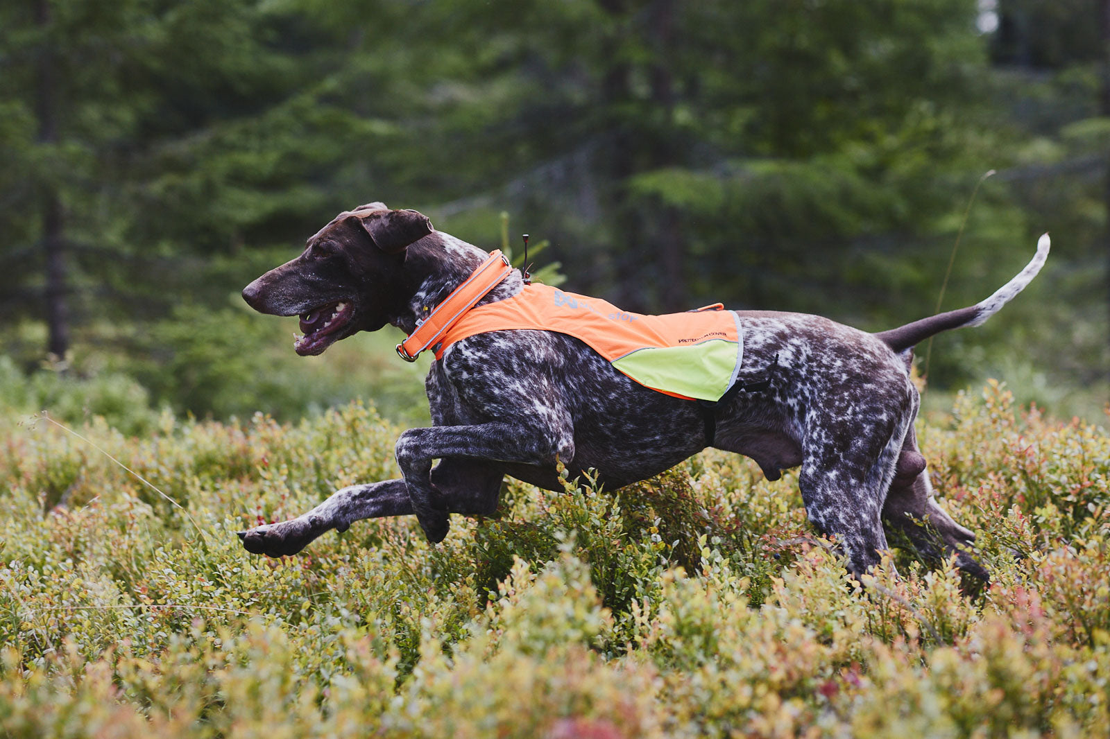 non-stop-dogwear-protector-cover-jagdweste-ripstop image 4