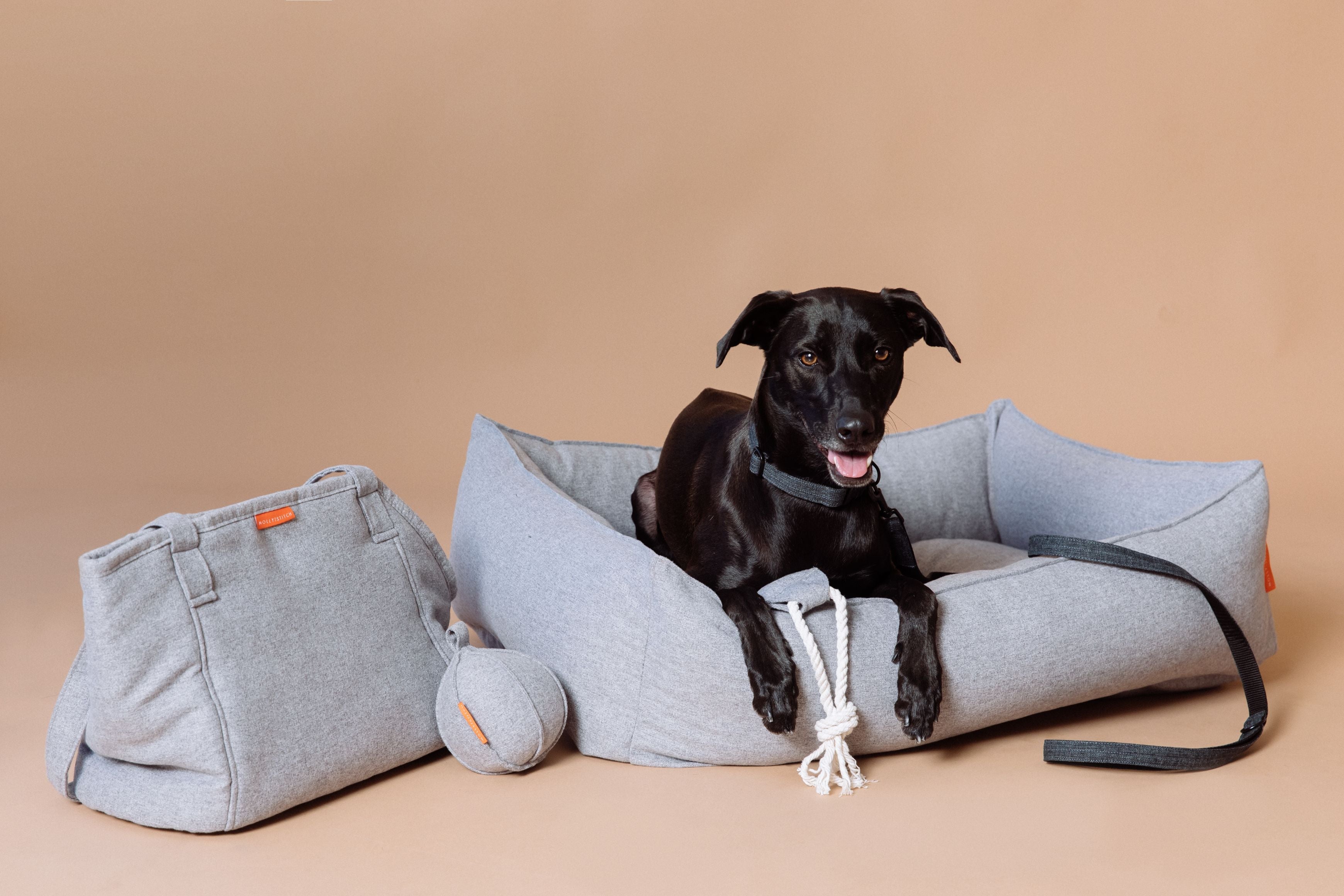 molly-and-stitch-alpine-ball-grey-hundespielball image 4