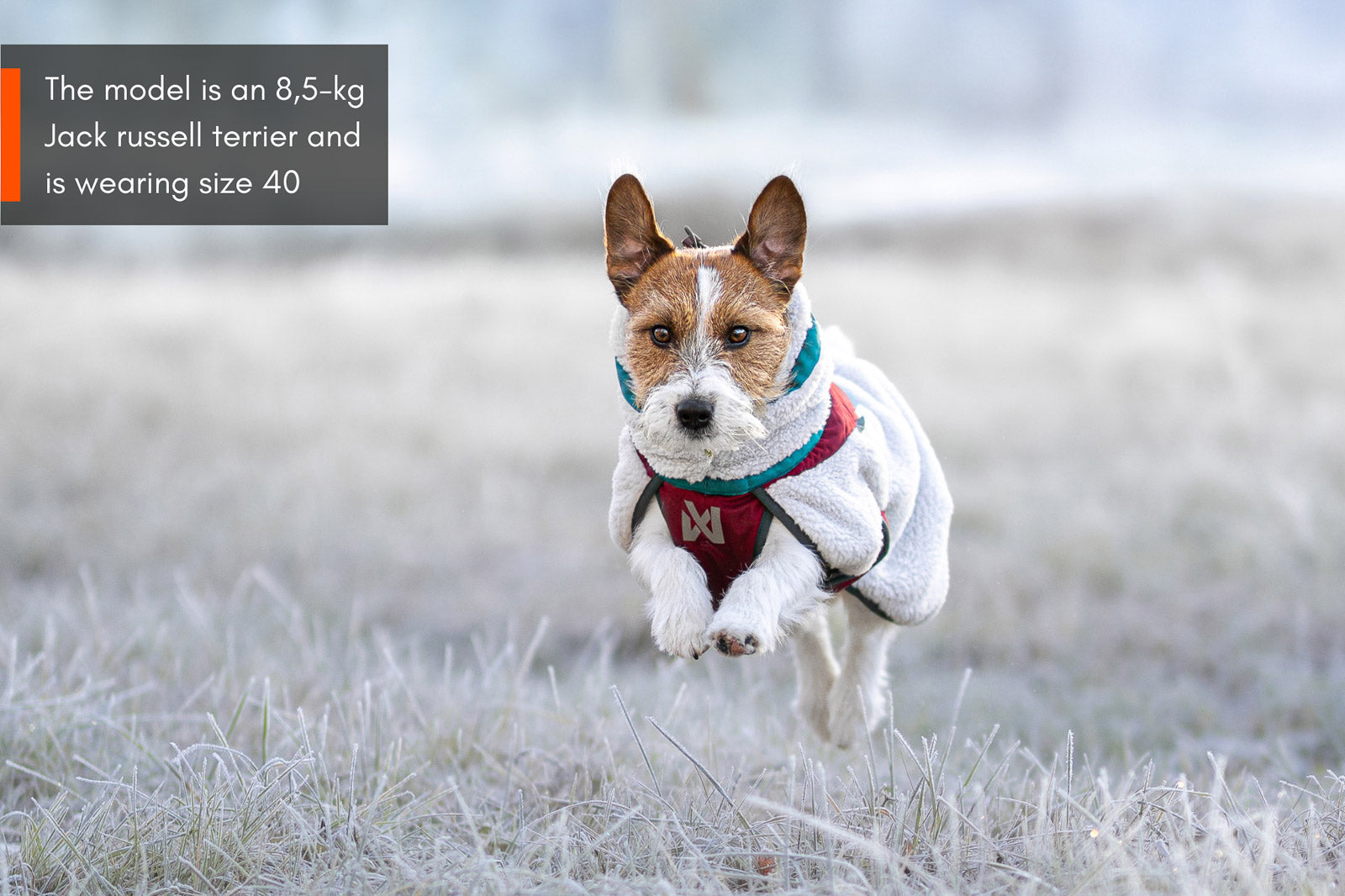 non-stop-dogwear-trekking-fleece-dog-jacket-hundemantel-fleece image 3