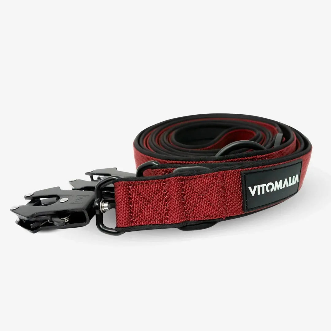 vitomalia-extreme-edition-verstellbare-hundeleine-2-2m-bordeaux-mit-froschkarabi image 1