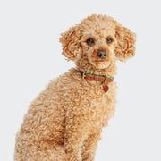 cloud7-prince-park-halsband-leder-cognac-green image 2