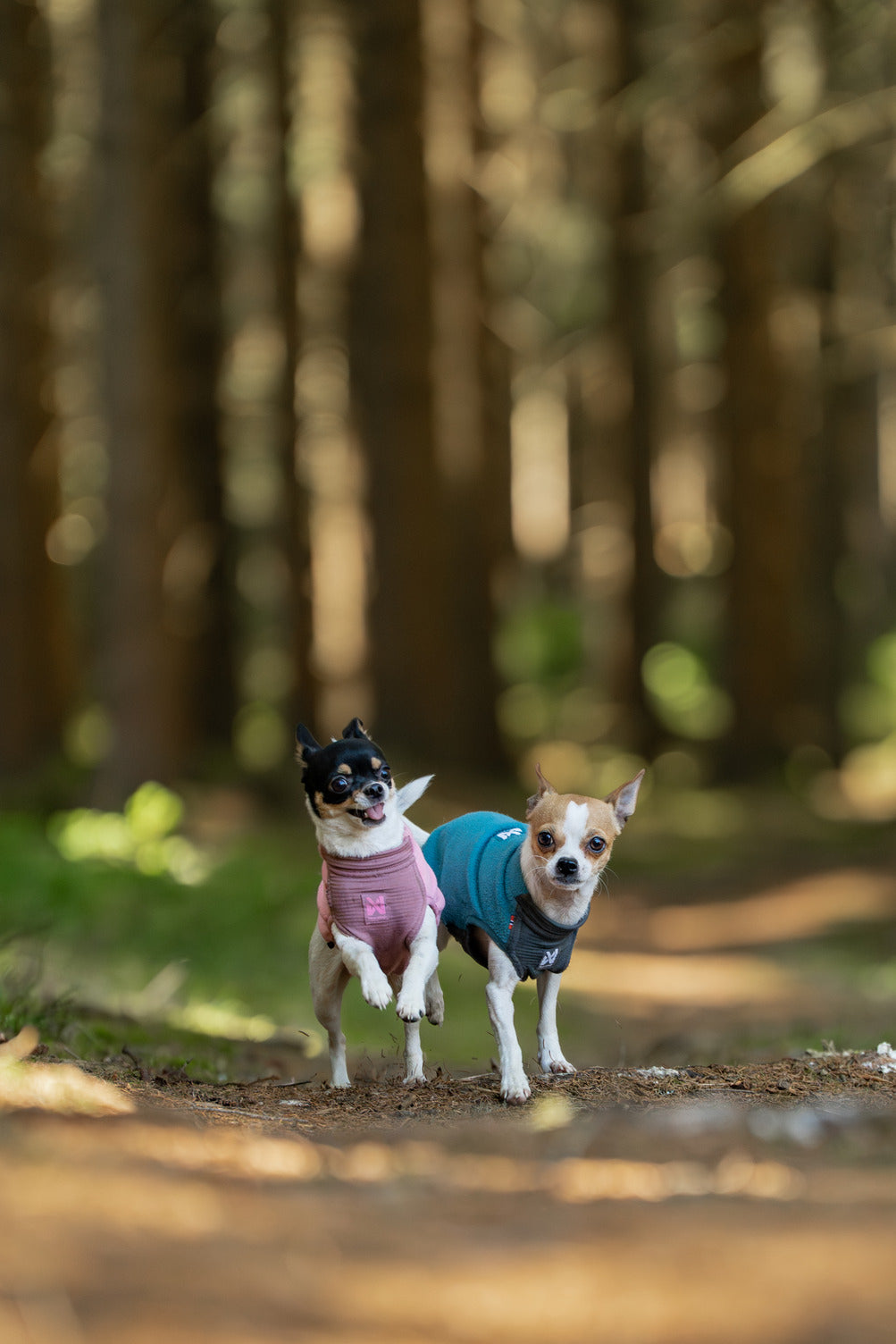 non-stop-dogwear-trail-quest-fleece-pullover-warmer-fleece-pullover image 7