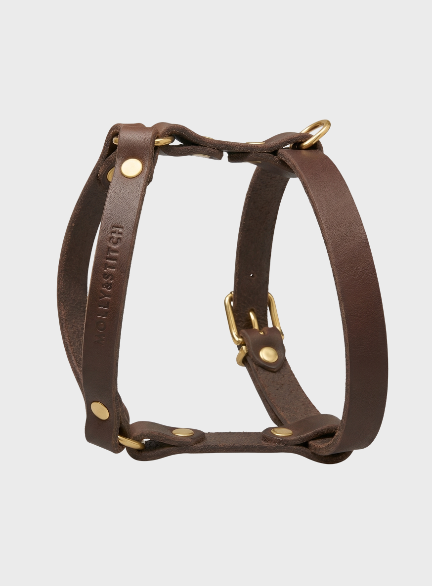 molly-and-stitch-butter-leather-y-geschirr-classic image 2