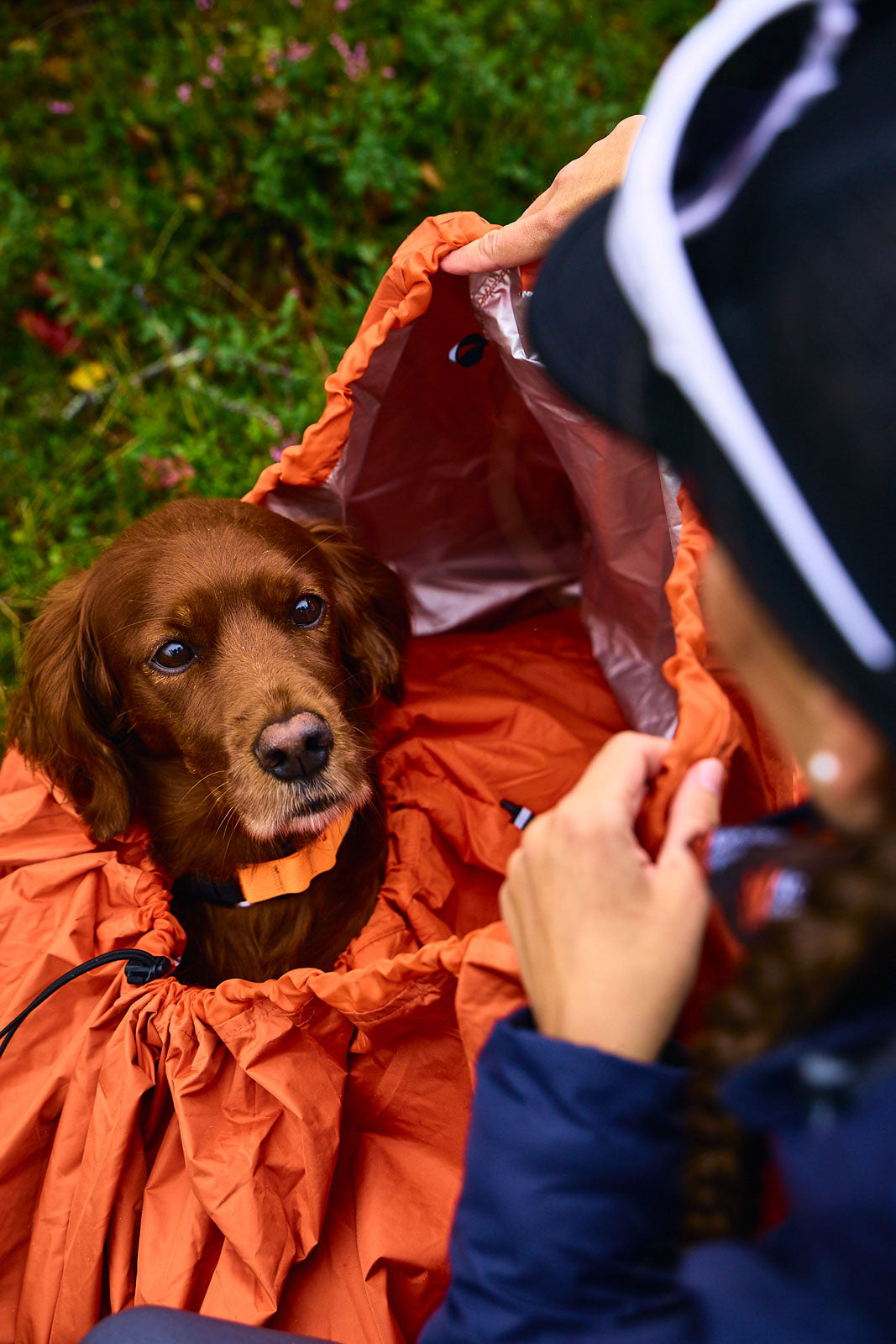 non-stop-dogwear-protector-bivvy-bag-hunde-schlafsack image 5