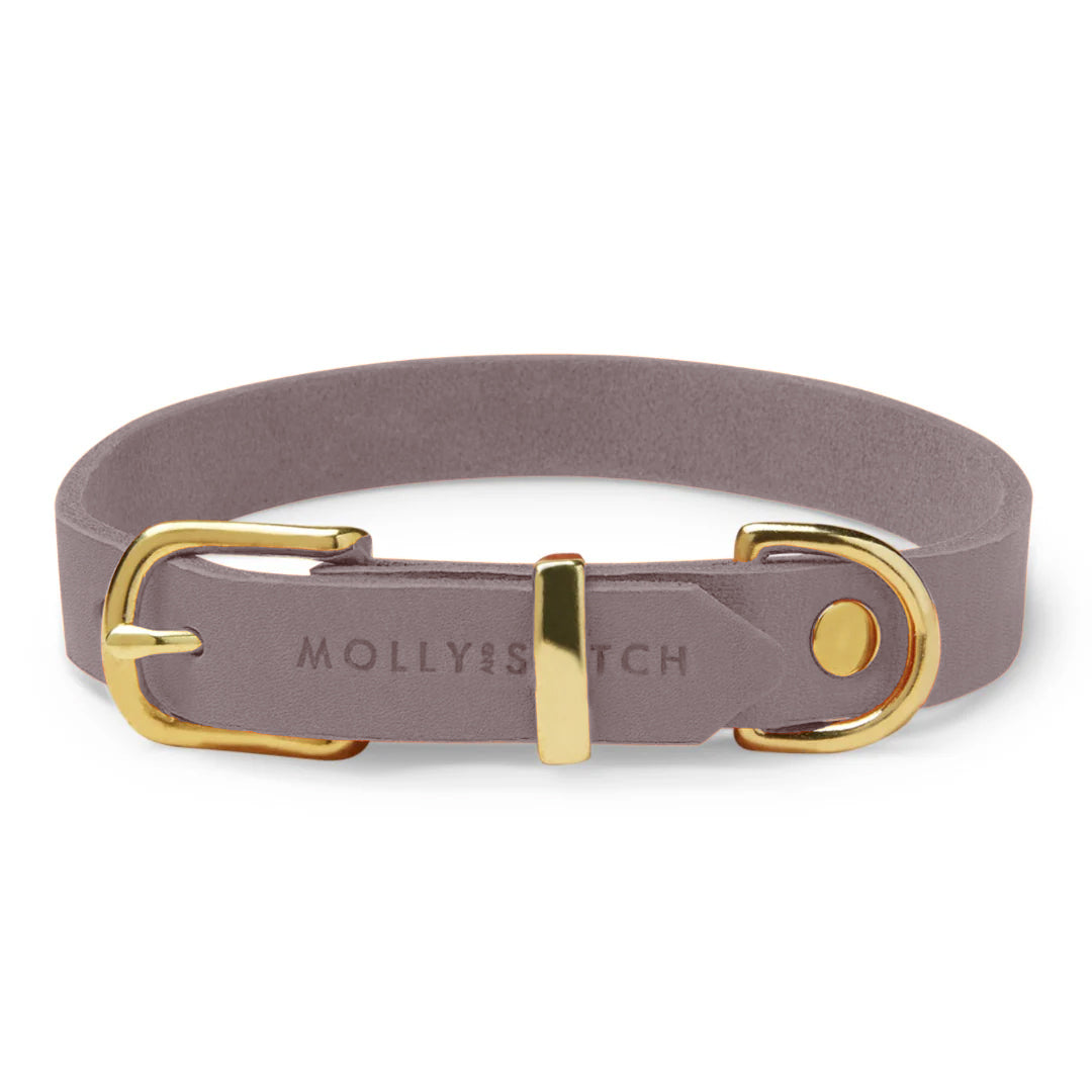 molly-and-stitch-butter-leather-hundehalsband-taupe image 1