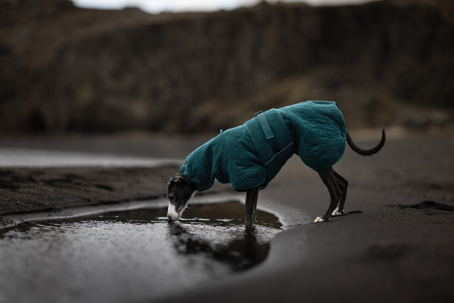 non-stop-dogwear-drying-coat-trockenmantel-hund image 3