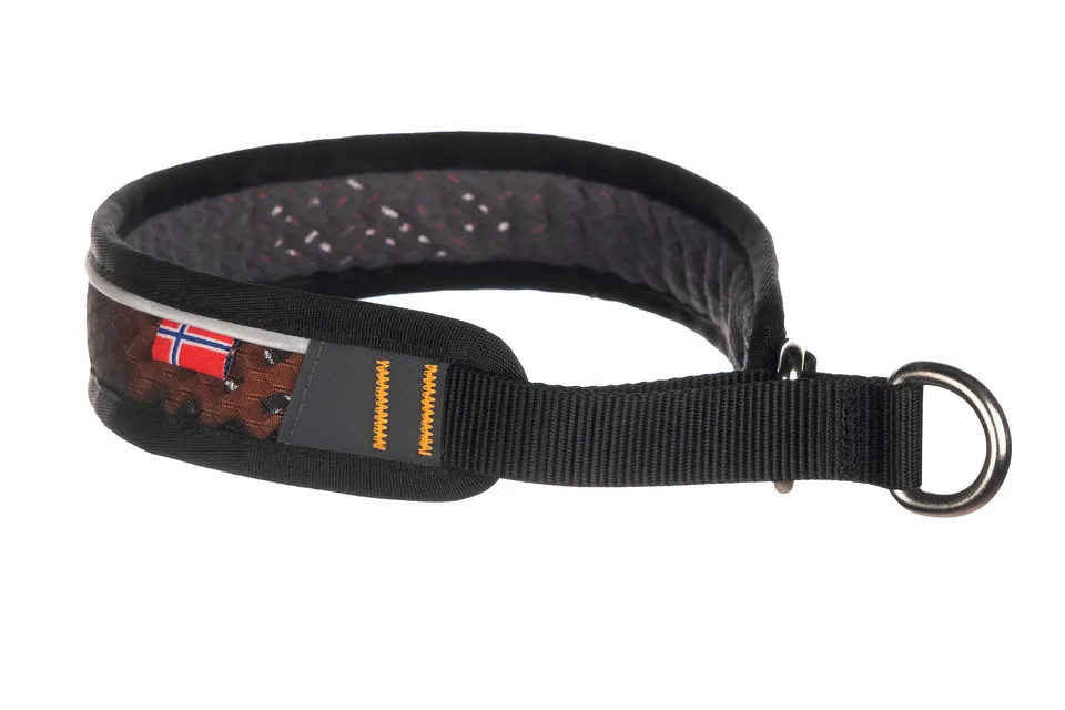 non-stop-dogwear-rock-collar-2-0-zugstopp-halsband image 1